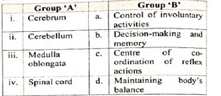 Match the following   Match the pairs