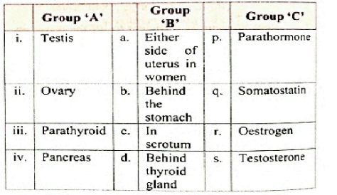 Match the following   Match Group A (Glands) with Group B (location ) and Group C (Hormones).