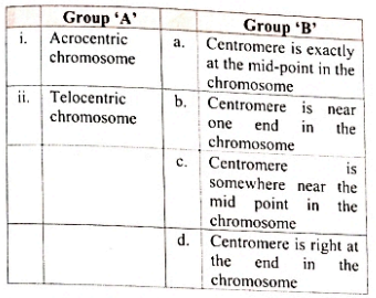 Match the following