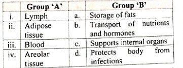 Match the following    Match the types of connective tissues given in Group ‘A’ with their functions in Group ‘B’.