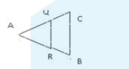 For a pair of similar triangles shown in the figure, the angles made at B and R are same in both the triangles BAC and RAQ. If the ratio of the areas of the two triangles is 2:1, and if the area of BAC is 100 cm^2 then what is the area of RAQ in sq.cm?