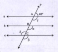 চিত্র থেকে  alpha, beta, gamma এবং delta কোণের মান নির্ণয় করো |