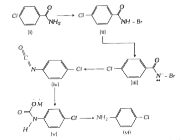 Passage -1   हॉफमैन ब्रोमाइड अपघटन अभिक्रिया द्वारा RCONHA, RNH2 में परिवर्तित होता है, जिस अभिक्रिया में RCONHBr बनता है, उसी अभिक्रिया के आधार पर इस अभिक्रिया का नाम दिया गया है।      फेनिल पर इलेक्ट्रॉन दाता समूह अभिक्रिया को सक्रिय करते हैं हॉफमैन ब्रोमाइड अपघटन अभिक्रिया एक अन्तराआण्विक (intramolecular) अभिक्रिया है।   संघटित एमीन निर्मित होती है जब (i) और (ii) मिश्रण के अन्तर्गत हॉफमैन ब्रोमाइड अपघटन करते हैं