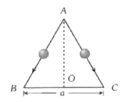 समान तारों से निर्मित एक समबाहु त्रिभुज पर दो सूक्ष्म मोती प्रारंभ में A पर स्थित हैं। त्रिभुज को उधिर अक्ष A0 के परितः घूर्णन कराने पर मोती एक साथ स्थिर अवस्था से छोड़े जाते हैं एवं एक मोती AB के अनुदिश तथा दूसरा AC के अनुदिश खिसकता (चित्रानुसार) है। मोती के