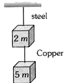 चित्र में , स्टील तथा तांबे के तार का व्यास , लम्बाई तथा यंग गुणांक का अनुपात क्रमशः p,q तथा s है ,तब इनकी लम्बाईयो में वृद्धि का अनुपात होगा