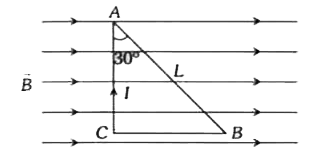 एक चुंबकीय क्षेत्र vec(B) में धारा लूप का तार रखा गया है। इससे संबंधित दिए गए तथ्यों को समझिए      (1) तार के AC भाग पर बल की दिशा तथा परिमाण पेज पर (sqrt(3))/(2)ILB होगी   (2) तार के AB भाग पर बल की दिशा तथा परिमाण पेज पर (sqrt(3))/(2)ILB होगी   (3) लूप पर लगा कुल बल ABCA शून्य होगा ऊपर दिए तथ्यों में कौन सा/से सत्य नहीं है/ हैं
