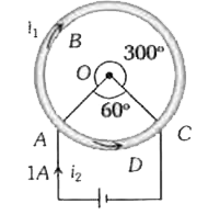 एक वृत्ताकार चालक ABCD, जिसका केन्द्र O एवं angle(AOC) = 60^(@) है, के बिन्दुओं A व C के बीच एक बैटरी को जोड़ा गया है। यदि ABC एवं ADC में प्रवाहित धाराओं के कारण केन्द्र O पर उत्पन्न चुम्बकीय क्षेत्रों के परिमाण क्रमशः B(1) व B(2) हैं, तो अनुपात (B(1))/(B(2)) है