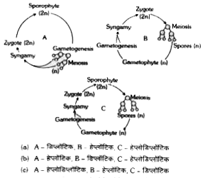 दिए गए जीवन चक्र पद्धति के प्रकारों को निम्न में से किस विकल्प के द्वारा सही दर्शाया जाता है