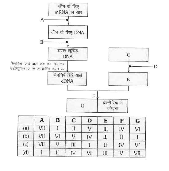 दी गई श्रेणी I से VII में से नीचे दर्शाए गए चित्र में नामांकित भाग A,B,C, D, E, F तथा G को पहचानिए   अवयव-    I. DNA पॉलीमरेज   II. प्लाज्मिड   III. चिपचिपे सिरे वाले प्लाज्मिड   IV. DNA लाइगेज   V. रस्ट्रिक्शन एंडोन्यूक्लिएज   VI. पुनर्योगज DNA   VII. रिवर्स ट्रांसक्रिप्टेज   सही अवयव है -