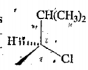 A molecule has the following structure. Which one is the IUPAC name of the molecule?