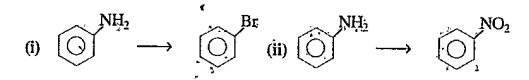 Convert the following:    What is deamination?