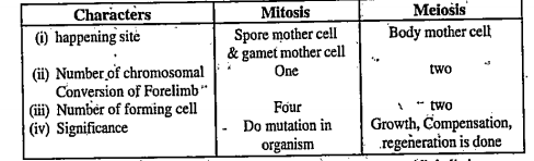 Which of the following statements are correct regarding the differences between mitosis & miecosis-