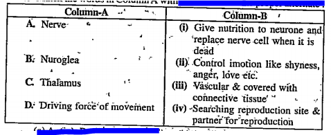 Match the words in Column A with Column B and the proper alternate: