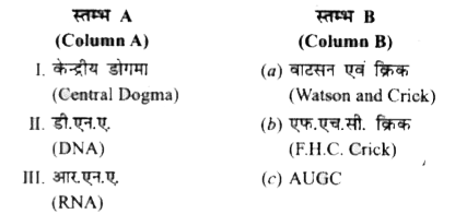 स्तम्भ A के शब्दों को स्तम्भ B के सही शब्दों से मिलान करें।