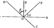 निम्नांकित आकृति में यदि beta=gamma तथा  angleBOC=30^(@)=(alpha)/(2) हो, तो  gamma का मान क्या है ?