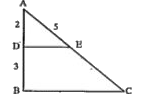 निम्नांकित · आकृति में AD =2 सेमी, DB = 3 सेमी., AE = 5 सेमी. एवं DE ||| BC, तो EC की माप बताएँ