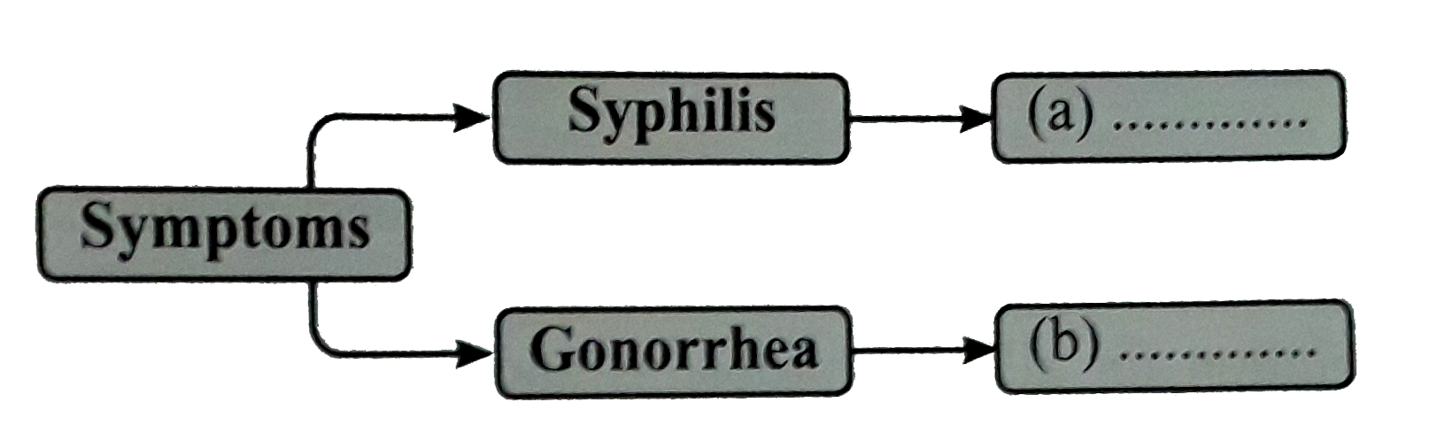 What  are the  symptoms of  syphills and  gonorrhea ?