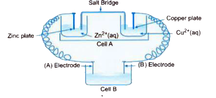 Consider the figure below and answer the following questions :      (i) Cell 'A' has E(