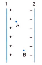 Two protons A and B are placed in between the two plates of a parallel plate capacitor charged to a potential difference Vas shown in Fig. The force on  the two protons are exactly the same.