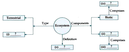 Complete the following flow chart based on ecosystem and its components.
