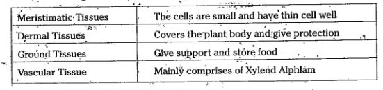 What are the uses of plant tissues?