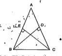 In DeltaABC , altitudes BD and CE are equal, then DeltaDCB~=DeltaEBC by Congruence.