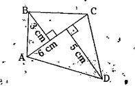 Find the area of following quadrilaterals.
