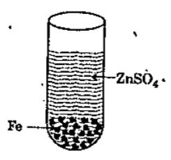 The correct observation made by the student after putting clean pieces of Iron in the test-tube containing Zine sulphate phate are as shown in the figure.