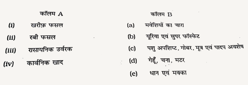 कॉलम A में दिए गए शब्दों का मिलान कॉलम B से कीजिए।