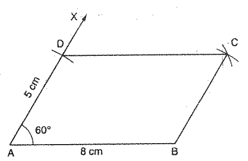 Draw a parallelogram A B C D in which A B=8c m ,\ A D=5c m\ a n d\ /A=60^0dot