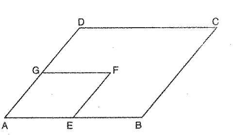 In Figure, A B C D\ a n d\ A E F G
are parallelograms. If /C=55^0,
what is the measure of /F ?
