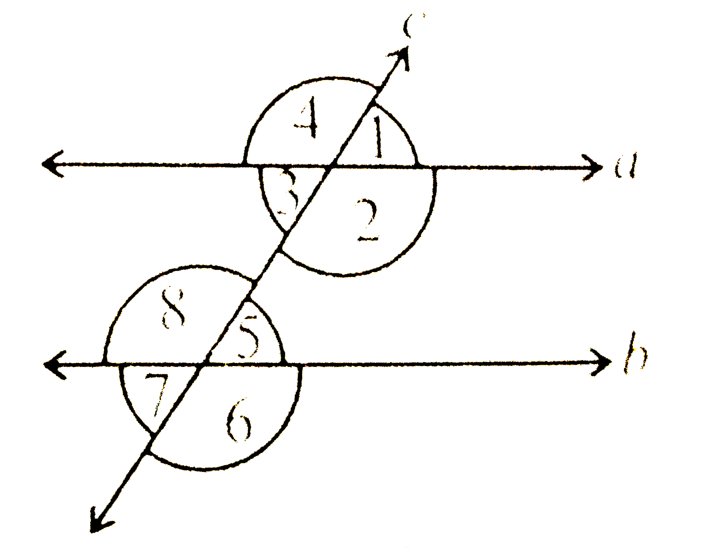 आकृति  में निम्नलिखित की पहचान कीजिए :   (i) संगत कोणों के युग्म     (ii) अंतः एकांतर कोणों के युग्म   (iii)तिर्यक छेदी रेखा के एक तरफ़ बने अंतः कोणों के युग्म   (iv) शीर्षाभिमुख कोण