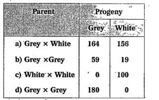 The following data was obtained from an experiment on peas. The grey coloured seed is dominant over white coloured seed. Use the Latter G for grey and g for white traits. Predict genotypes of the parants in each of the following crosses.