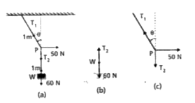 See Fig . A mass of 6 kg is suspended by a rope of length 2 m from the celling. A force   of 50 N in the horizontal direction is applied at the mid point P of the rope , as shoe  . What is the angle the rope makes with the vertical in equilibrium ? (Take g = 10 ms^(-2)) Neglect the mass of the rope .