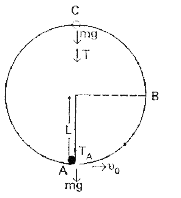 A bob of mass m is suspended by a light string of length L. It is imparted a horizontal velocity v(0) at the lowest point A such that it completes a semicircular trajectory in the vertical plane with the string becoming slack only on reaching the topmost point, C this is shown in Fig. Obtain an expression for     the ratio of the kinetic energies (K(B)//K(C)) at B and C. Comment on the nature of the trajectory of the bob after it reaches the point C .