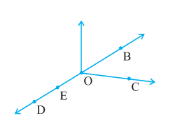 Use the  figure to name :(a) Five  points(b) A line(c) Four  rays(d) Five line  segments