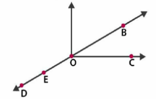 Use the  figure to name :(a) Five  points(b) A line(c) Four  rays(d) Five line  segments