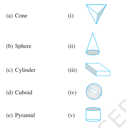 Match the following :     
Give two new examples of each shape