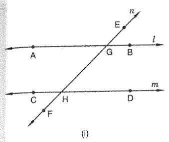 In Figure, line n
is a transversal to line l and m
. Identify the following
Alternate and corresponding angles in   
(ii) Angles alternate to /d a n d\ /g
and
  angles corresponding to angles /f\ a n d\ /h
in
  figure   
(iii) Angle alternative to /P Q R
, angle corresponding to /R Q F
and
  angle alternate to /P Q E
in Figure
(iv) Pairs of interior and exterior angles on the
  same side of the transversal m in