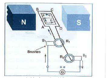 Explain the and working of an electric generator drawing a labelled diagram. What is the function of brushes?