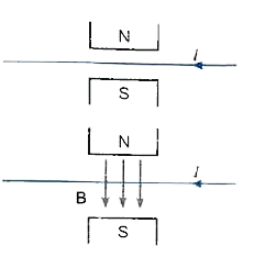 A wire is placed between N and S poles of a magnet as shown in figure. If current flows in the wire as shown, in which direction does the wire tend to move?