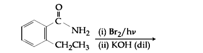 The major product of the following reaction is :