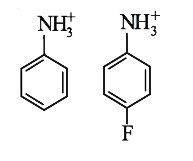 Which of the following is more acidic and why?