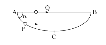 A particle P is sliding down a frictionless hemispherical bowl. It passes the point A at t = 0. At this instant of time, the horizontal component of its velocity is v. A bead Q of the same mass as P is ejected from A at t = 0 along the horizontal string AB, with a speed v. Friction between the bead and the string may be neglected. Let tP and tQ be the respective times taken by P and Q to reach the point B. Then: