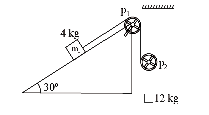 Calculate the acceleration of the masses 12 kg shown in the set up of fig. Also calculate the tension in the string connecting the 12 kg mass. The string are weightless and inextensible, the pulleys are weightless and frictionless.