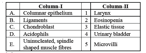 Match the following columns.