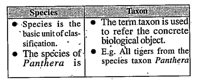 Distinguish between Species and Taxon.