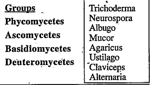 Different types of fungi are given.
a) Clasiffy them into their specific classes. 
Groups
Phycomycetes
Ascomycetes
Basidlomycetes
Deuteromycetes
b) Write the distinguishing characters of ascomycetes and basidiomycetes.