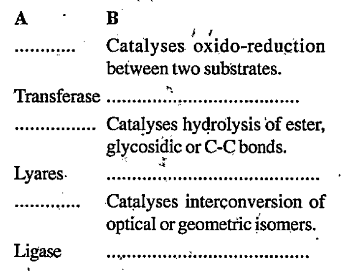 Fill in the blank columns with correct terms/sentences