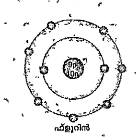 ഫ്ളൂറിന്റെ ഇലക്ട്രോണ്‍ വിന്യാസം എഴുതുക. .
